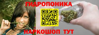 шишки Уссурийск